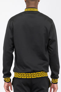 Thumbnail for Lion Head Embroidered Track Jacket - 4 COLORS -