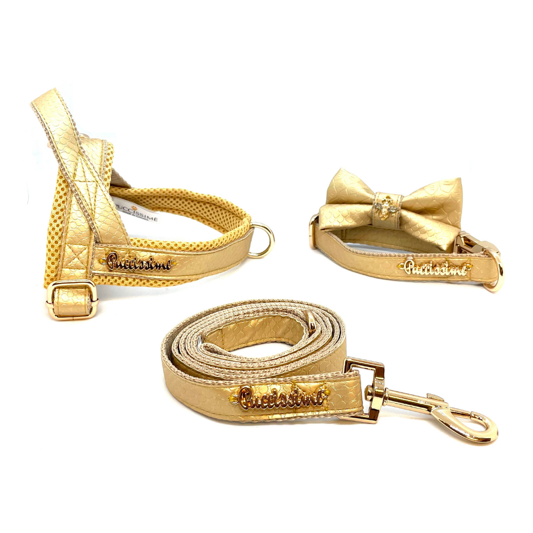 Puccissime - Aurelia Leash -