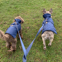 Thumbnail for Puccissime - Navy Rain Matching Leash -