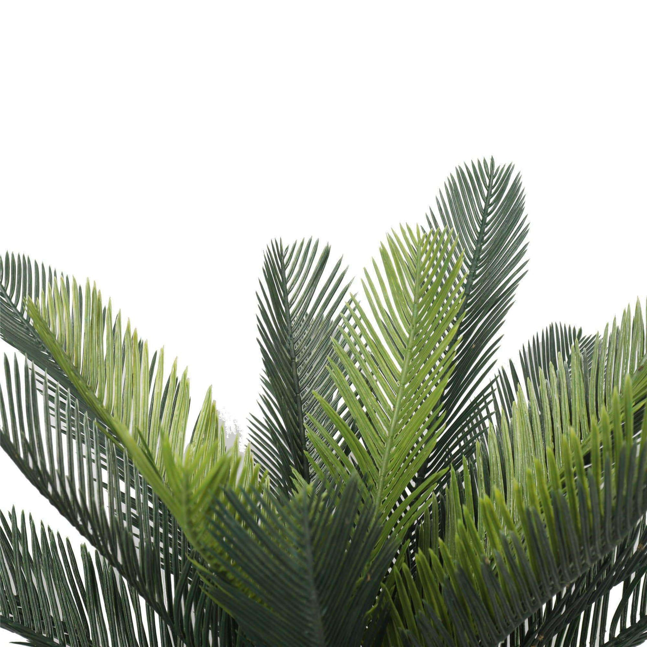 Artificial Cyac (Cycad) Plant 60cm -