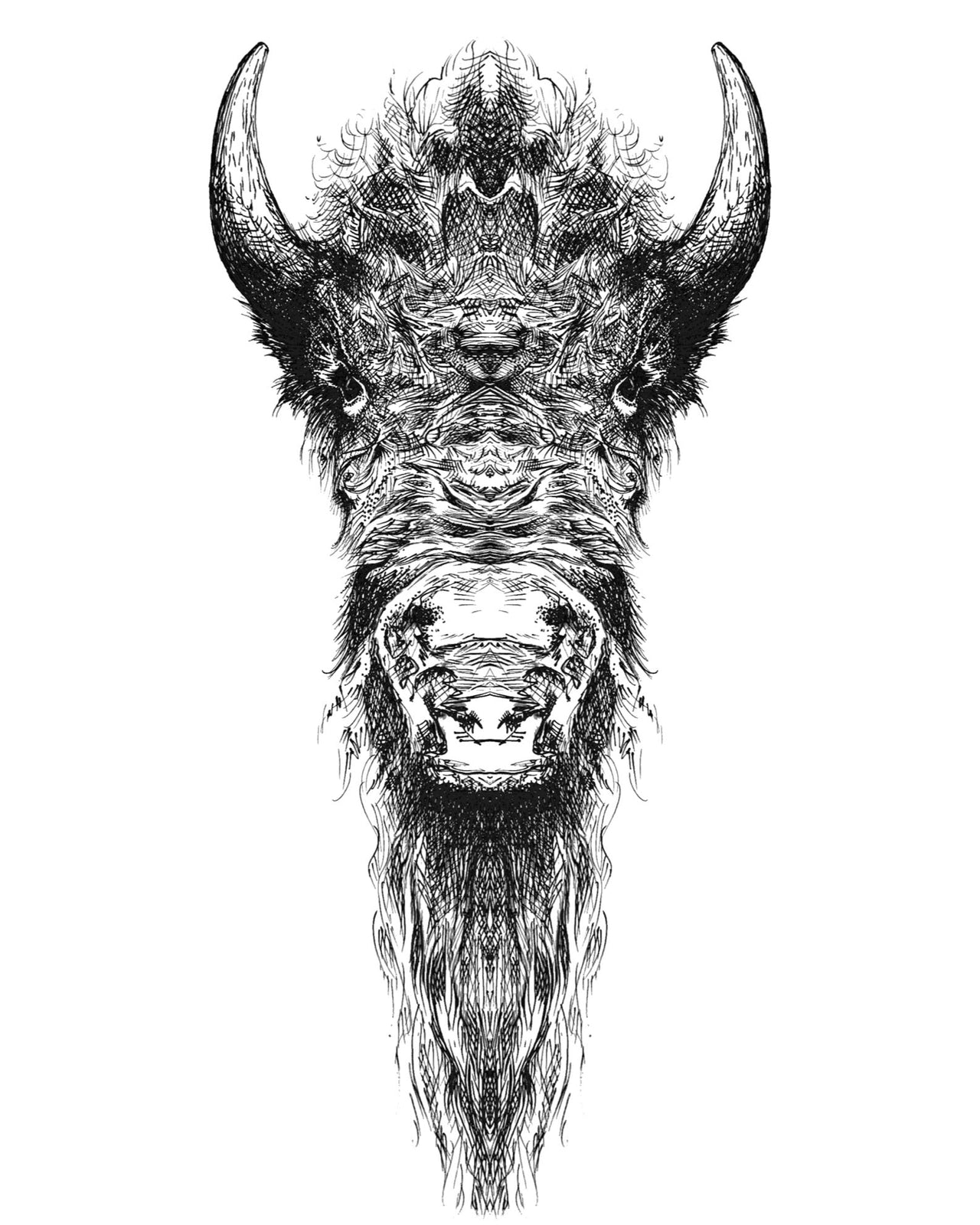 Buffalo in Center Art Print - 3 SIZES -