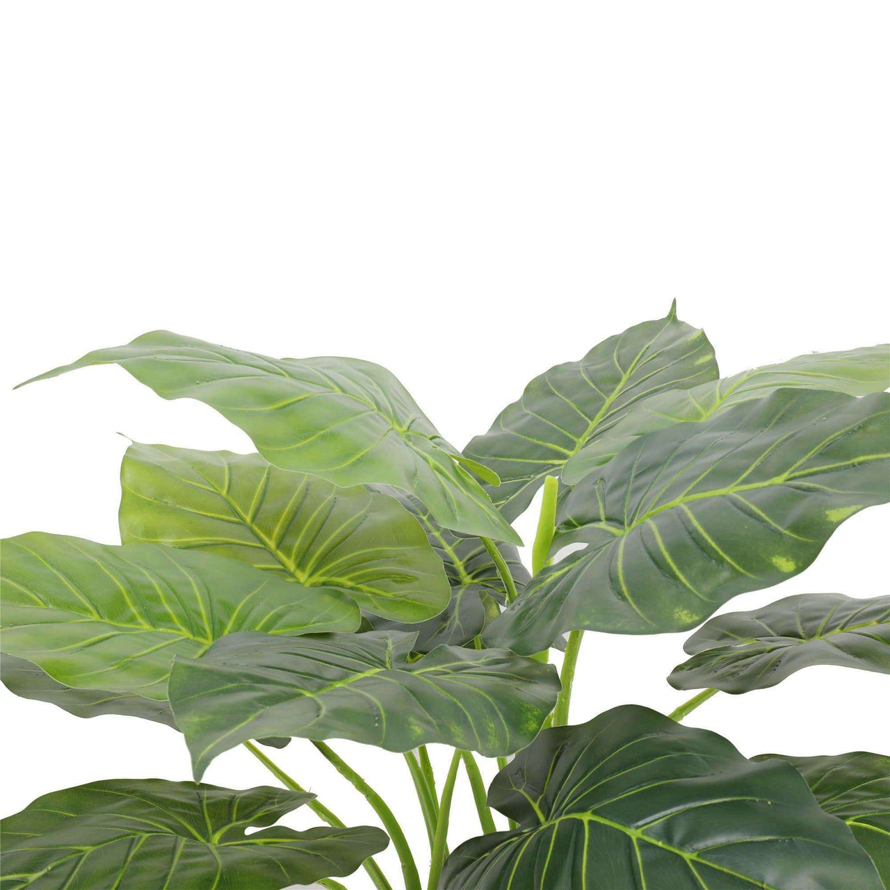 Artificial Potted Taro Plant / Elephant Ear 70cm -