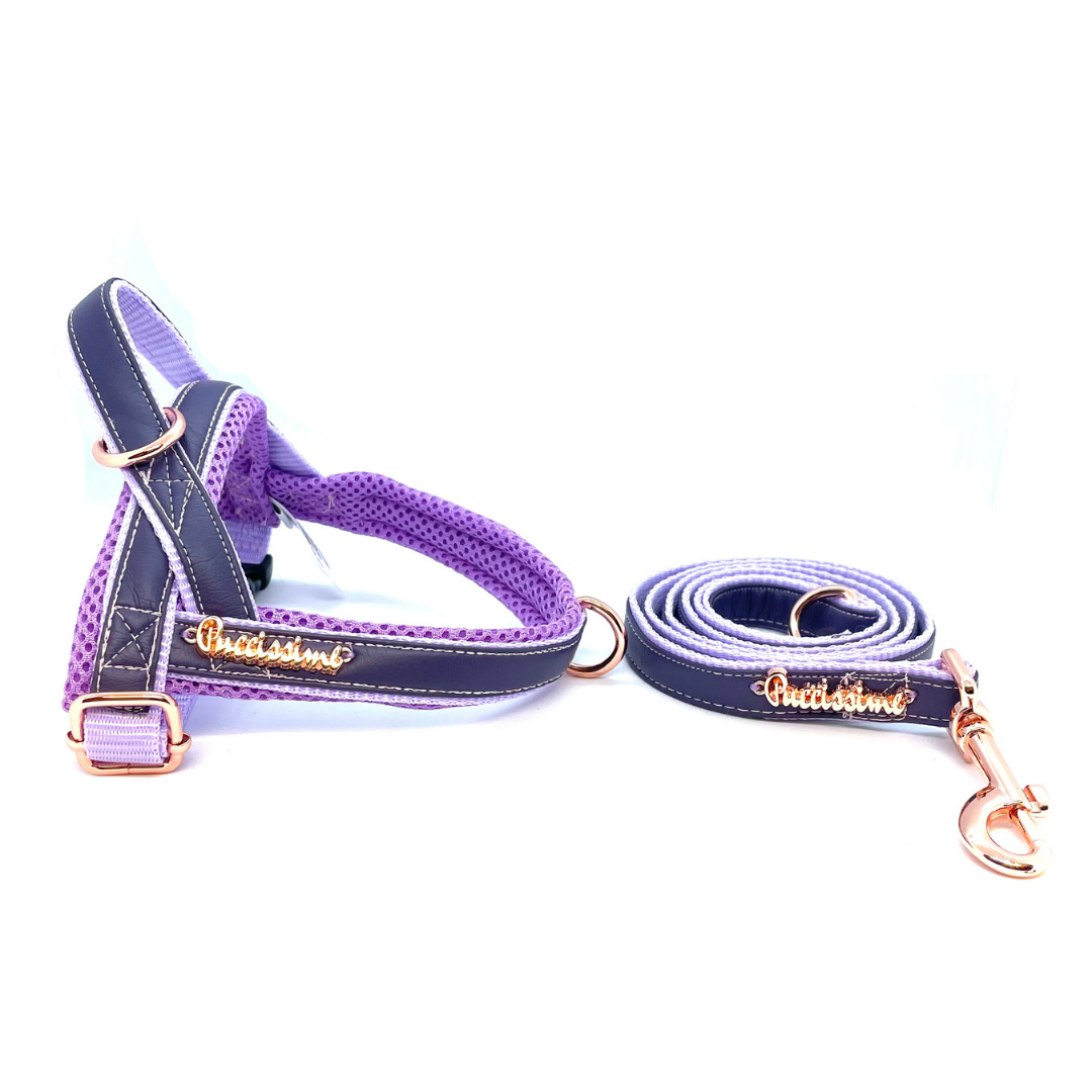 Puccissime  -Orchid One-Click Harness - 4 SIZES -