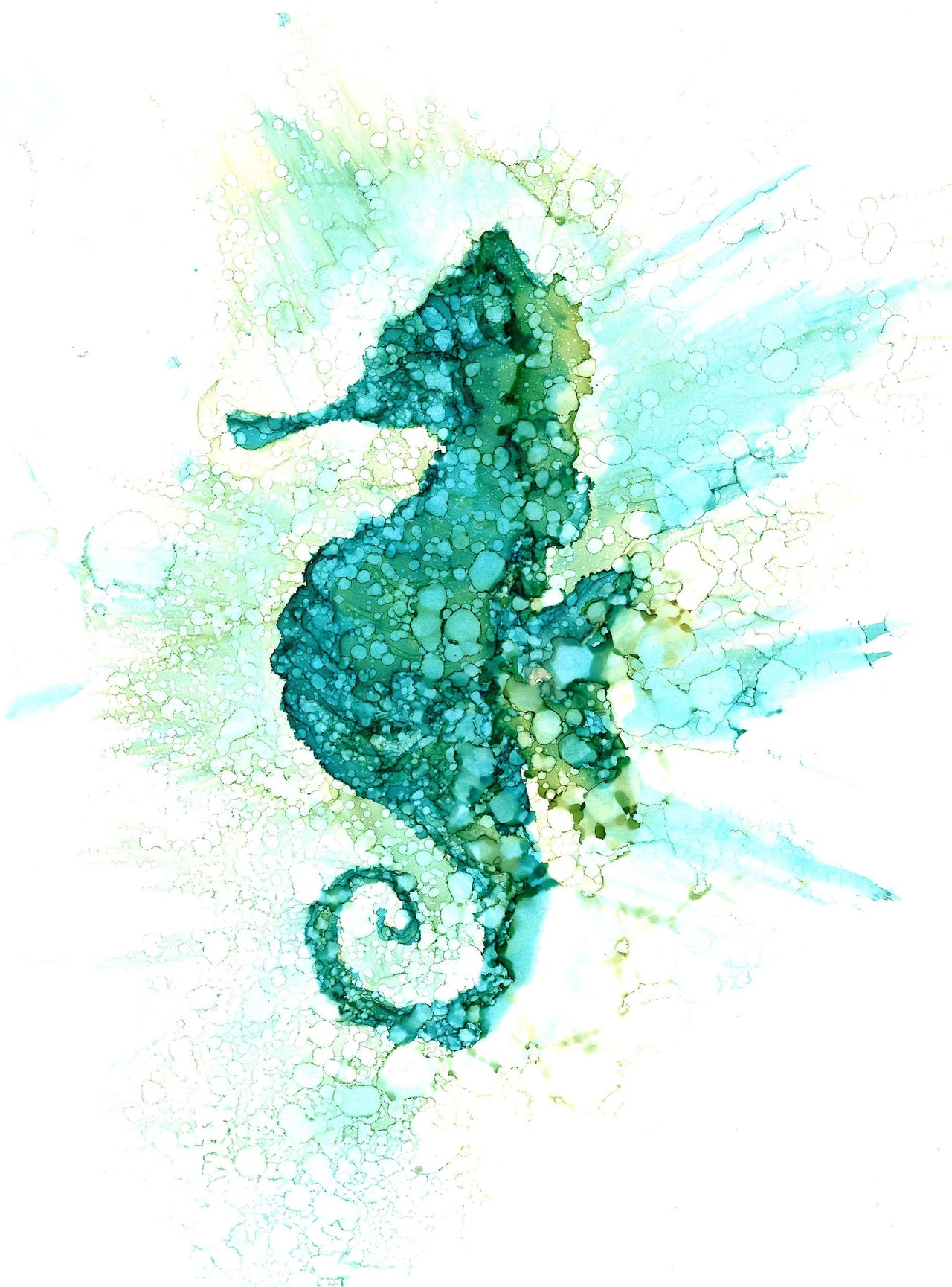 Seahorse : Greeting Card - 5"X7" - 1 OR SET(6) -