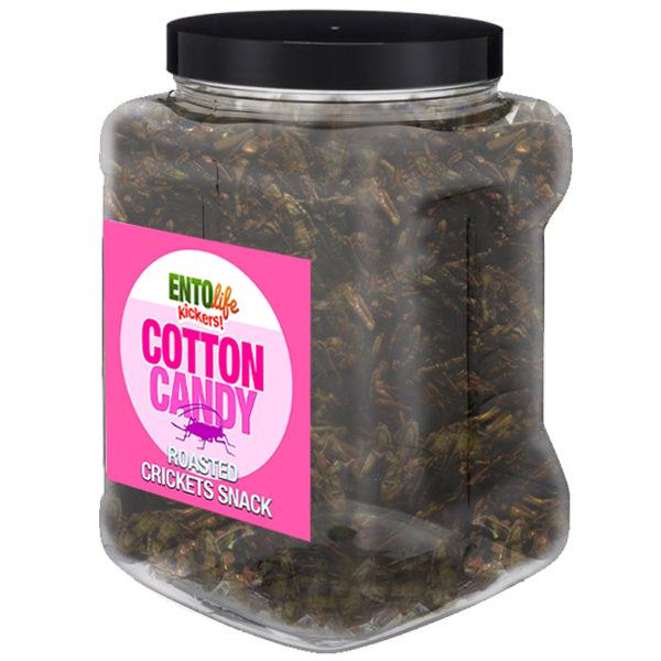 Cotton Candy Flavored Cricket Snack - Pound Size - FAIRGROUNDS GOODNESS - GUESS HOW MANY CRICKETS ARE IN THIS JAR AND YOU WILL HAVE GUESSED HOW MANY CRICKETS ARE IN THIS JAR -