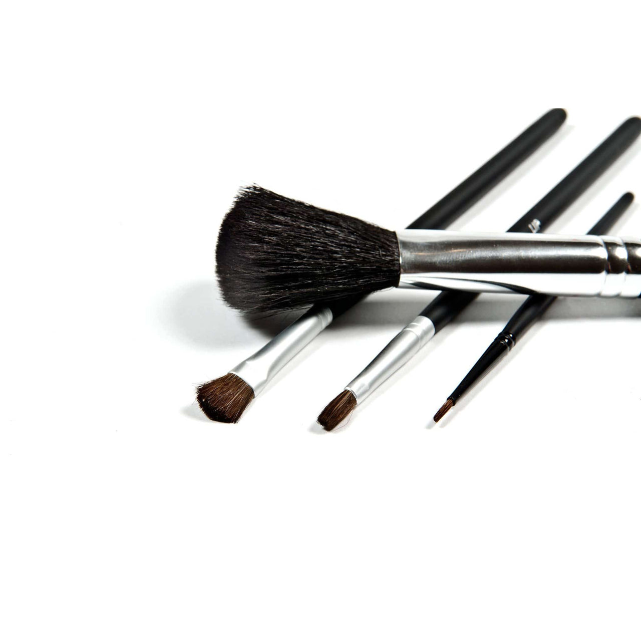 Danyel Professional Cosmetics Brush Collection -