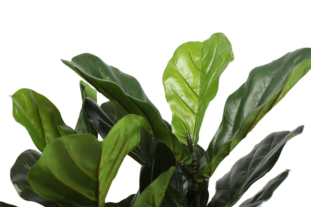 Artificial Fiddle Fig Tree 70cm -