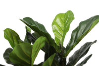 Thumbnail for Artificial Fiddle Fig Tree 70cm -