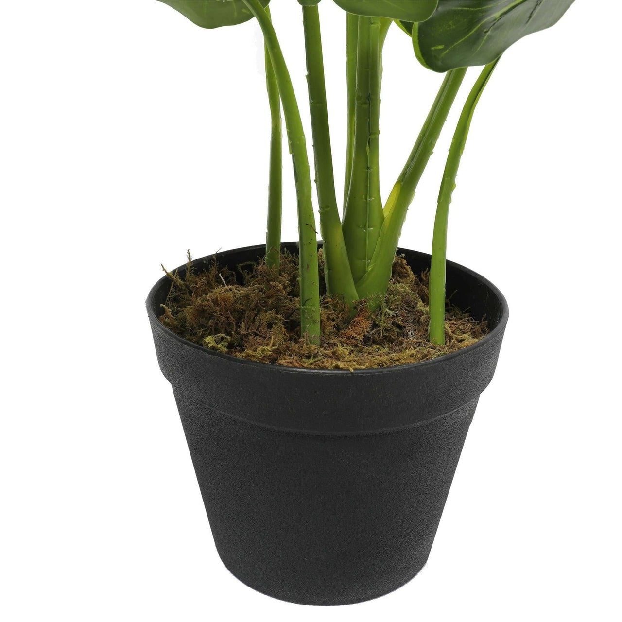 Artificial Potted Taro Plant / Elephant Ear 55cm -