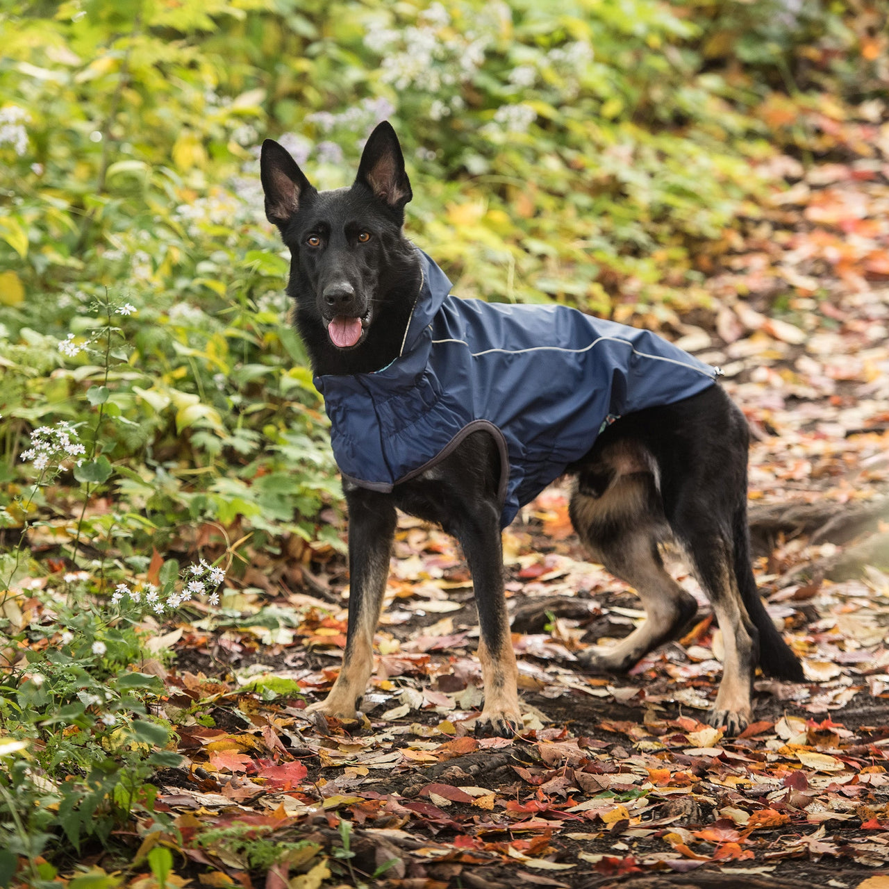 Reversible Elasto-Fit Raincoat - Navy - 9 SIZES - 1 COLOR -