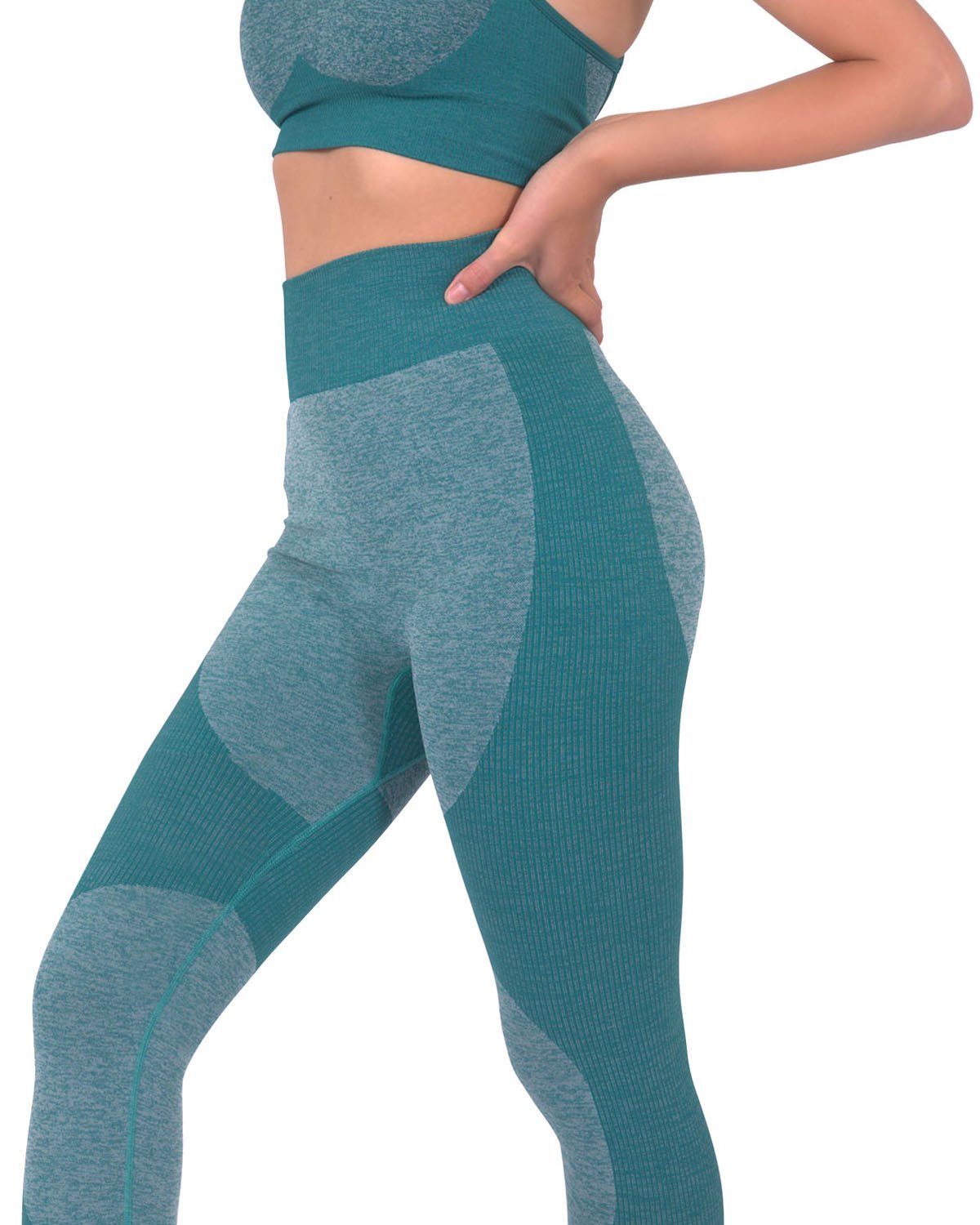 Savoy - Megara Seamless Legging With Striped Panels - Green - 1 COLOR -