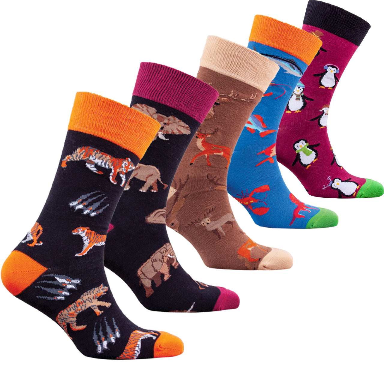 Men's Animal Planet Socks - 5 PACK -