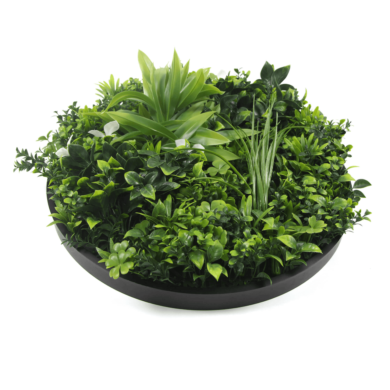 Luxury Artificial Green Wall Disc 20" Black Frame UV Resistant