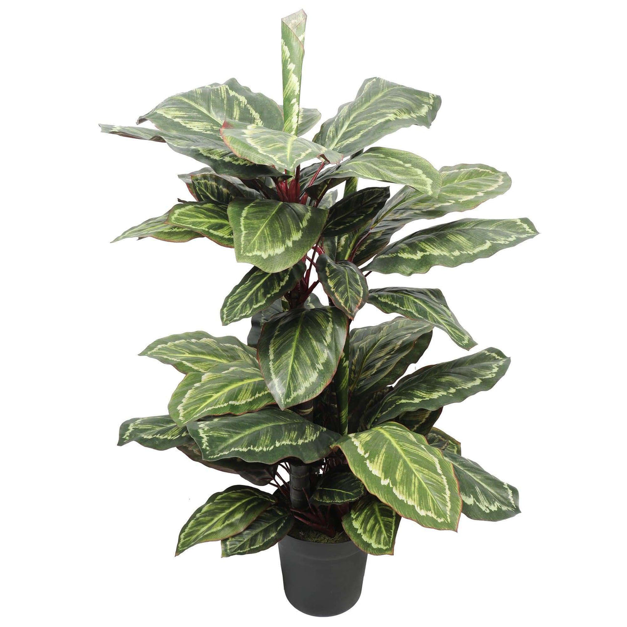 Artificial Wide Leaf Cordyline Plant 90cm -