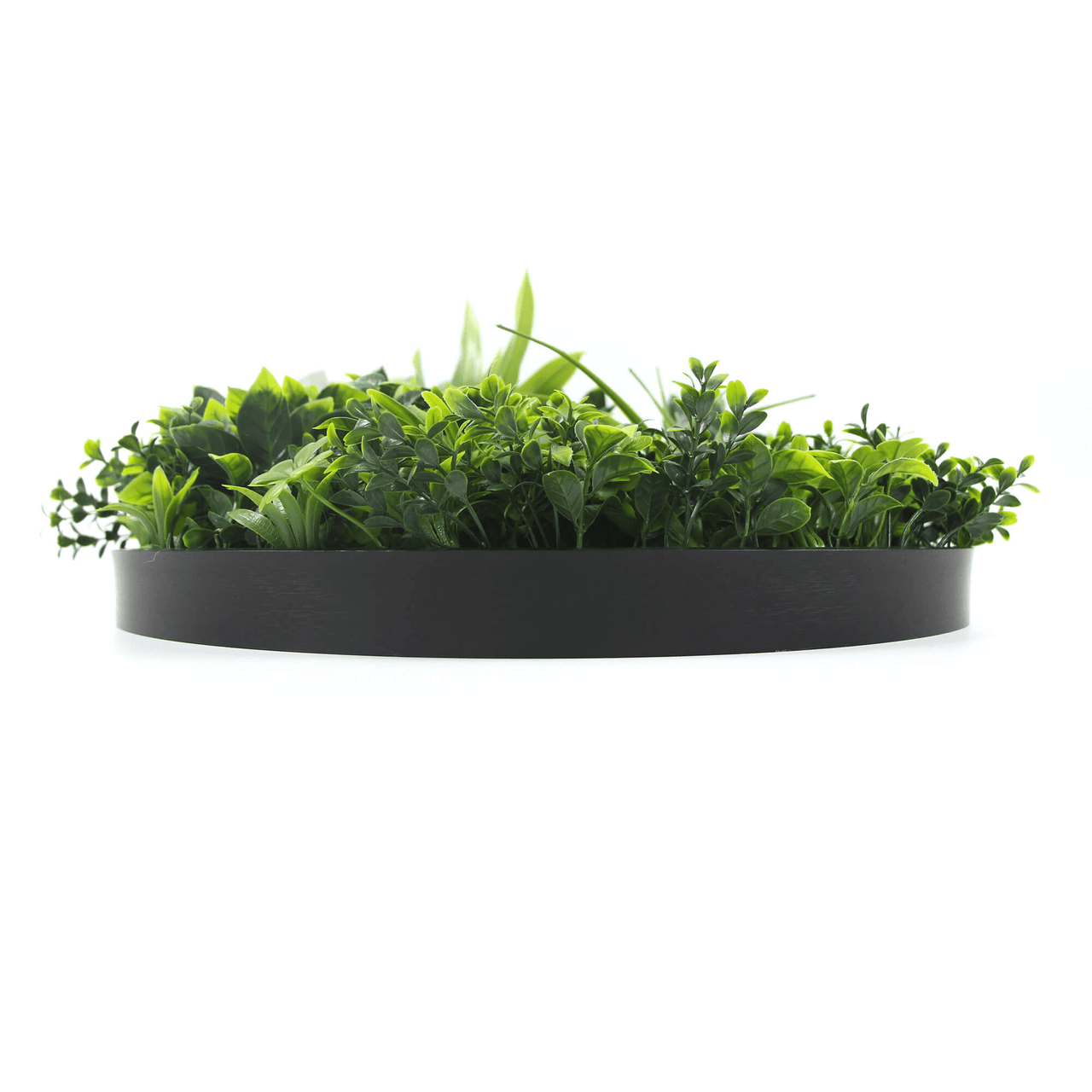 Luxury Artificial Green Wall Disc 20" Black Frame UV Resistant