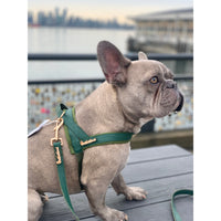 Thumbnail for Puccissime - Jade One-Click Dog Harness - 4 SIZES -