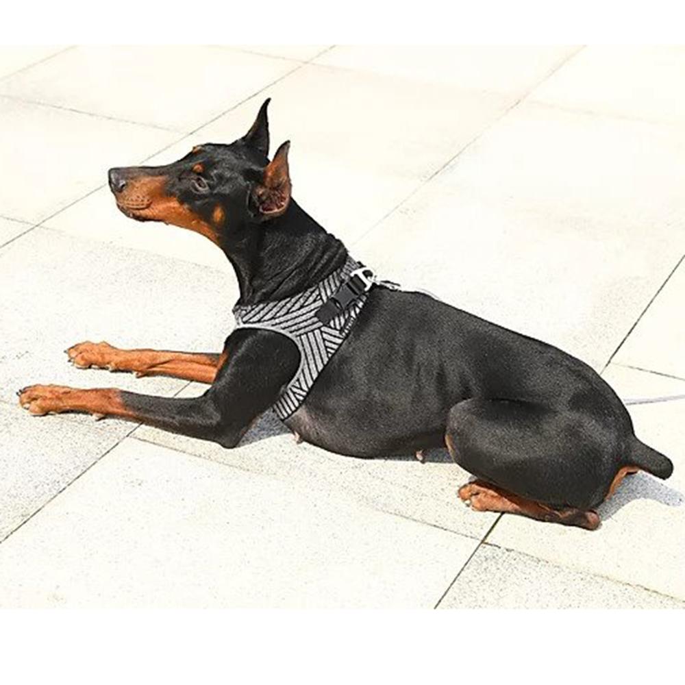 Instachew - PETKIT Air Fly Dog Harness - 4 SIZES -