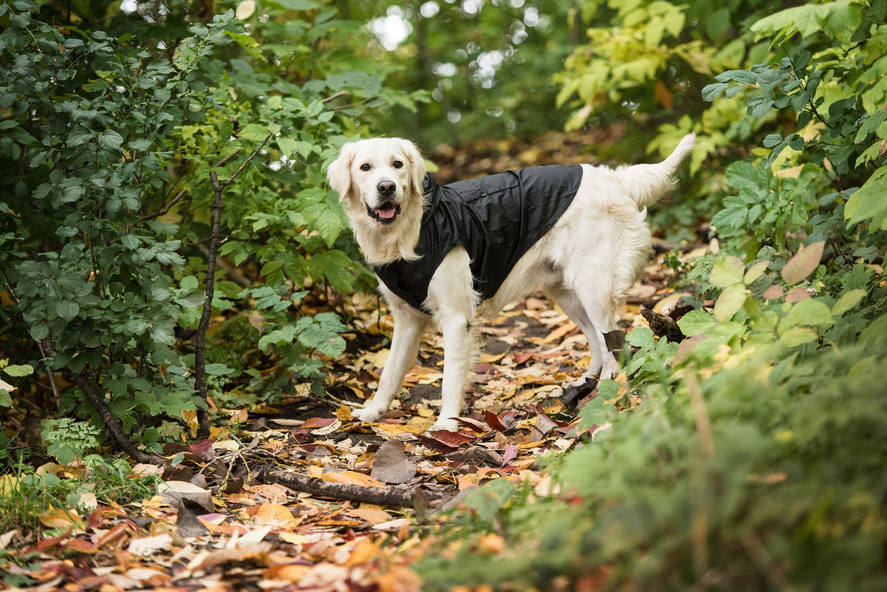 US Army Packable Dog Raincoat - Black - 5 SIZES -