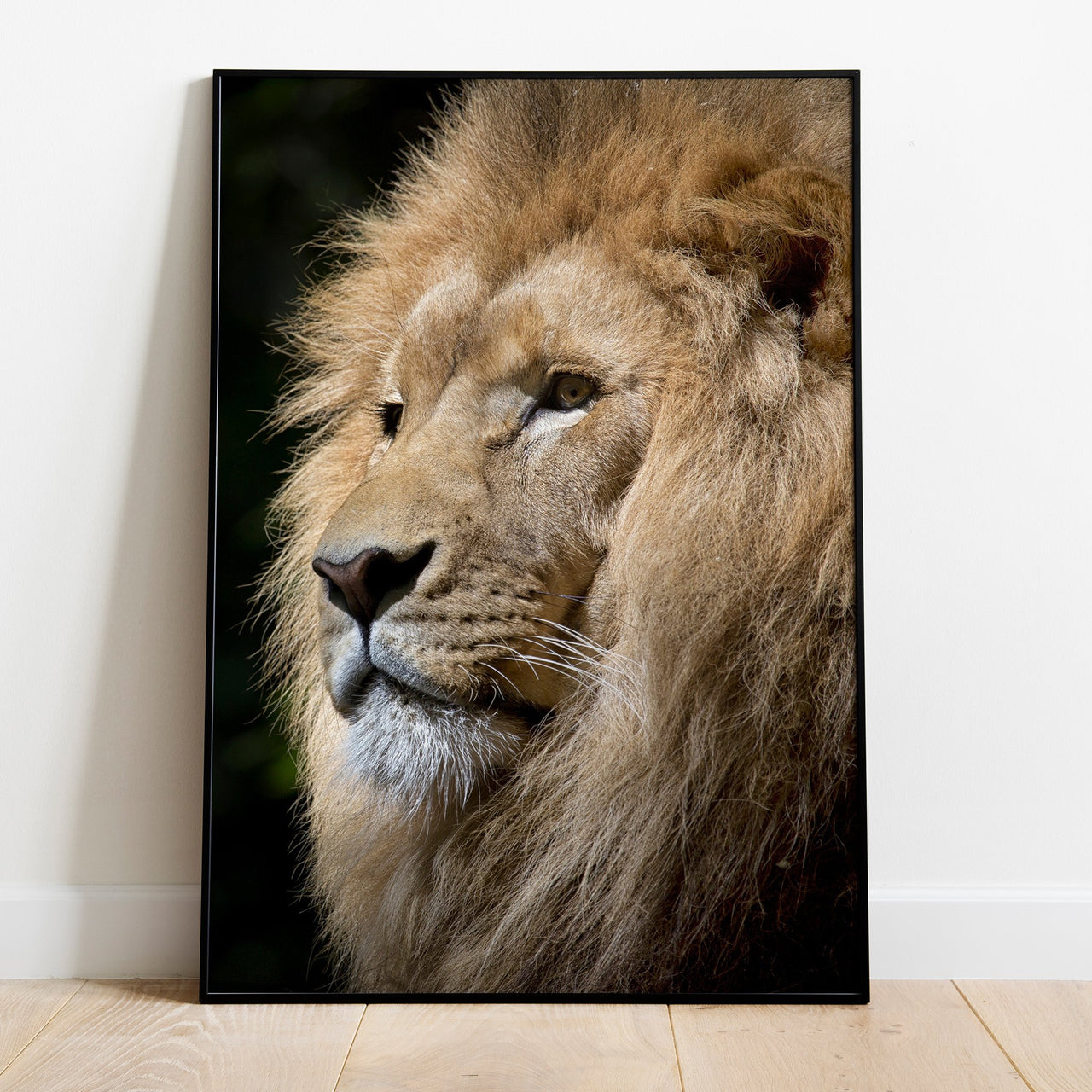 Lion - Poster- USA printed - 4 SIZES -