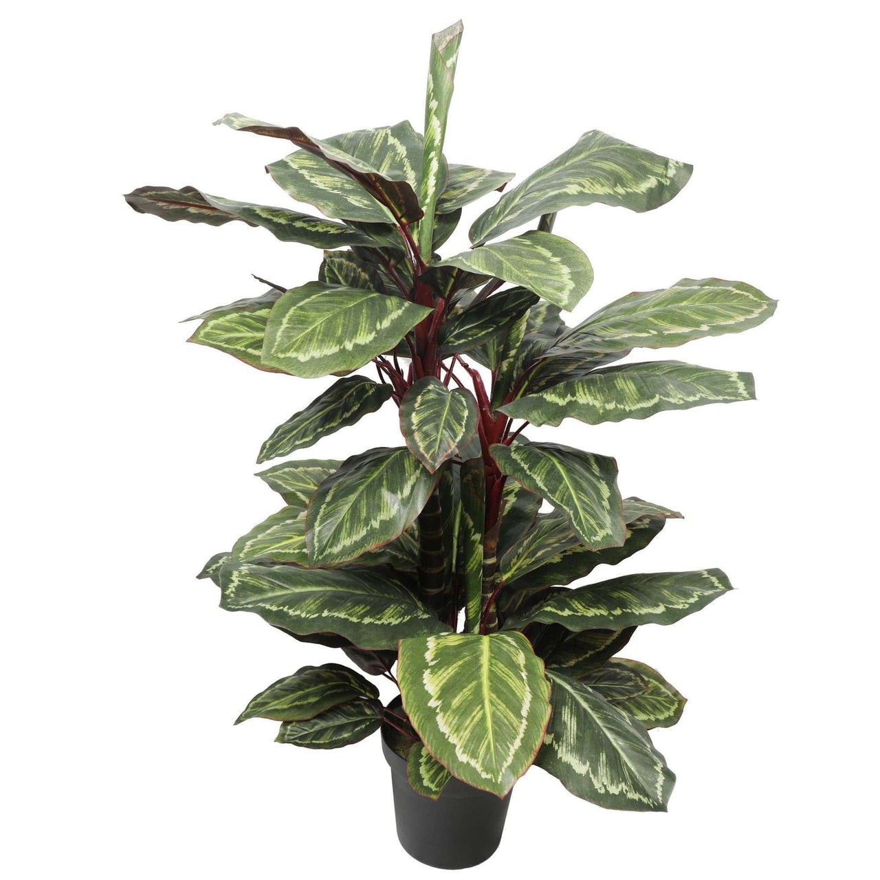 Artificial Wide Leaf Cordyline Plant 90cm -