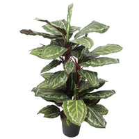 Thumbnail for Artificial Wide Leaf Cordyline Plant 90cm -