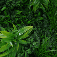 Thumbnail for Green Tropics Artificial Green Wall 40