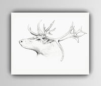 Thumbnail for Antlers Art Print - 3 SIZES -