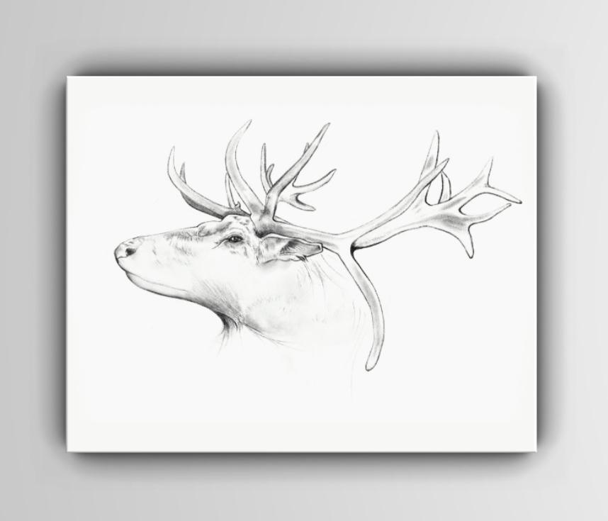 Antlers Art Print - 3 SIZES -