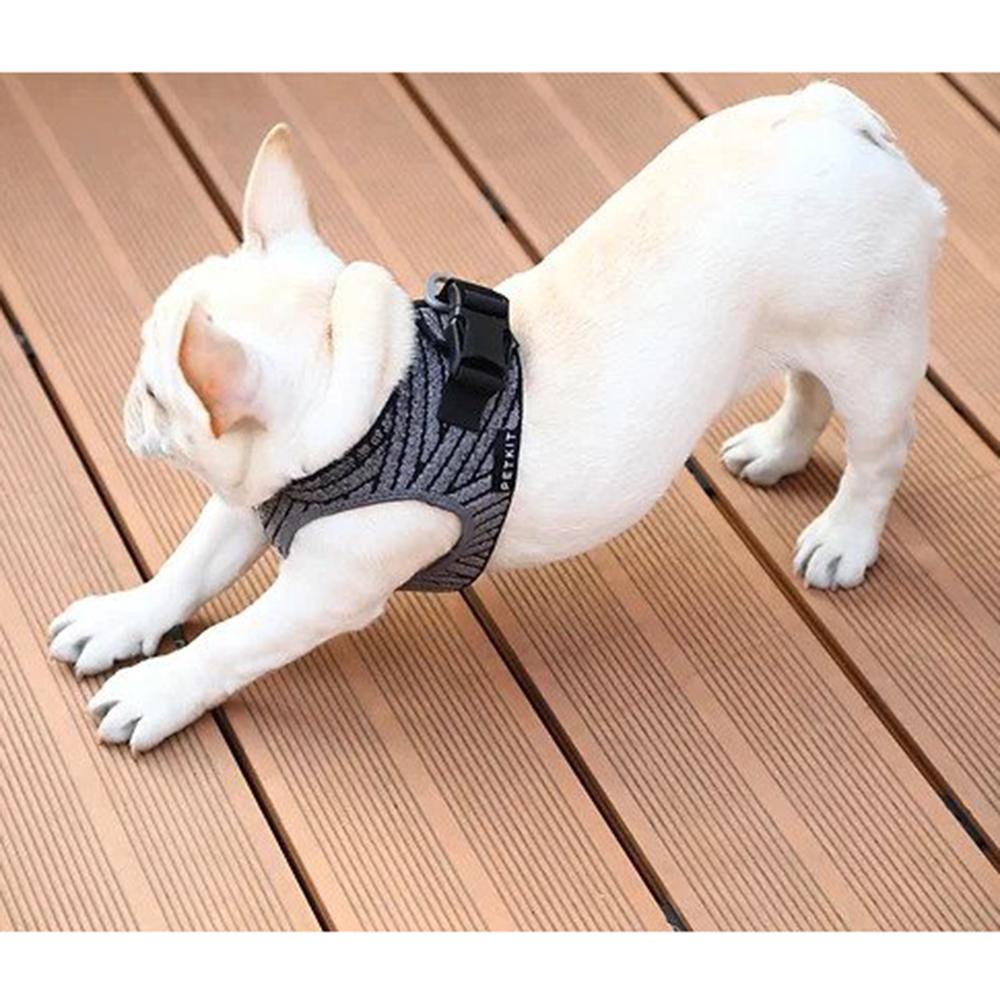 Instachew - PETKIT Air Fly Dog Harness - 4 SIZES -