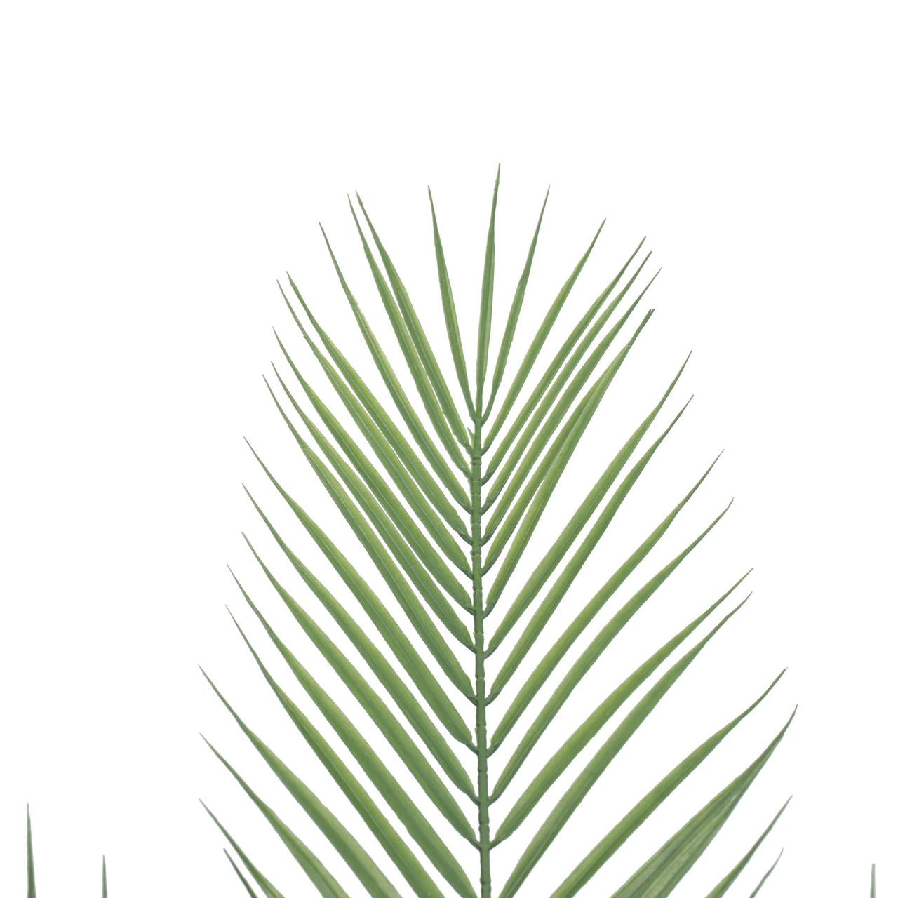 Artificial Phoenix Palm Plant 80cm -