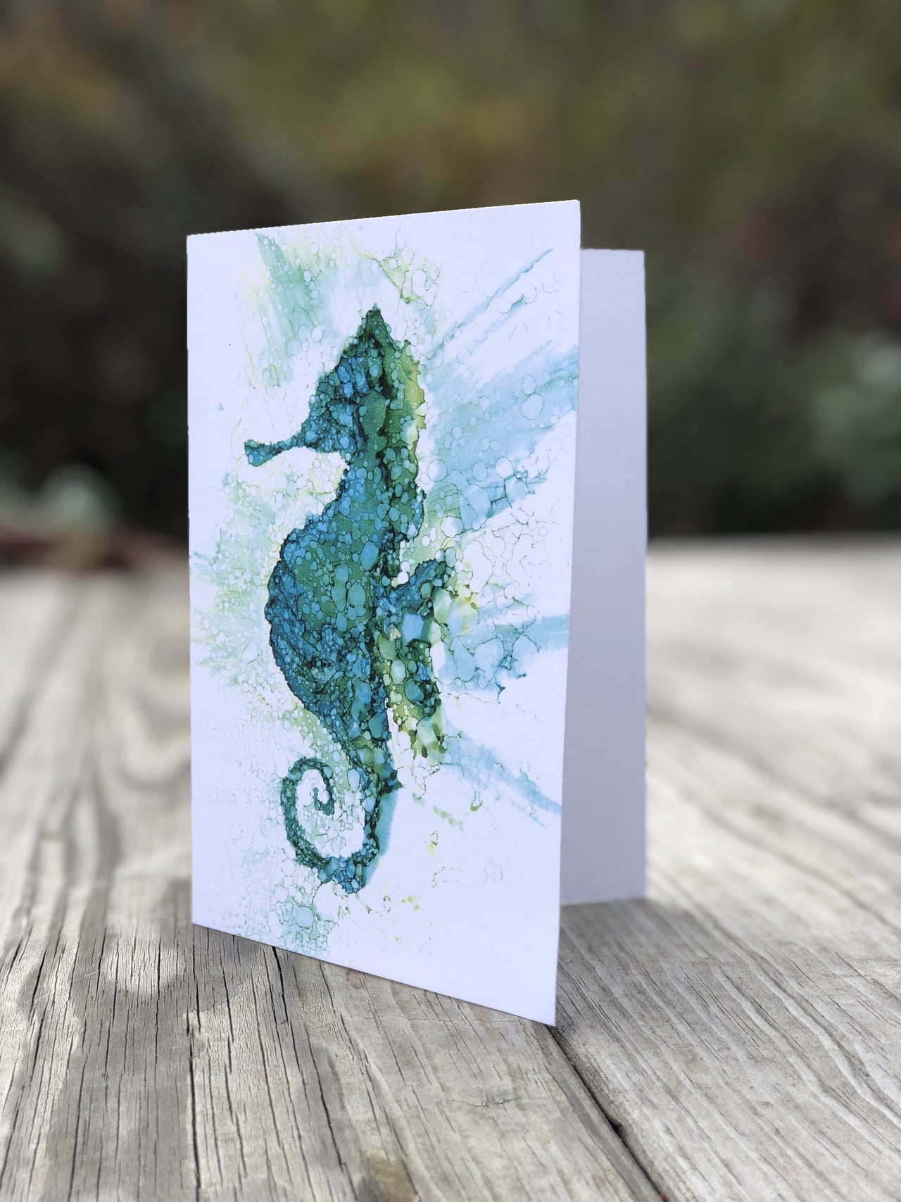 Seahorse : Greeting Card - 5"X7" - 1 OR SET(6) -