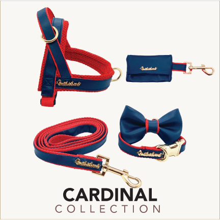 Puccissime - Cardinal Collar - 4 SIZES -