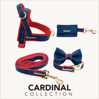 Thumbnail for Puccissime - Cardinal Collar - 4 SIZES -