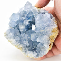 Thumbnail for Whyte Quartz - Grade a Celestite Druzy Clusters - 7 WEIGHTS -