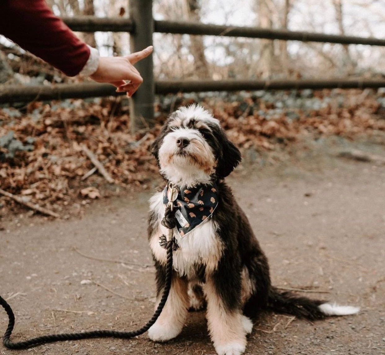 Rope Leash - Noir -