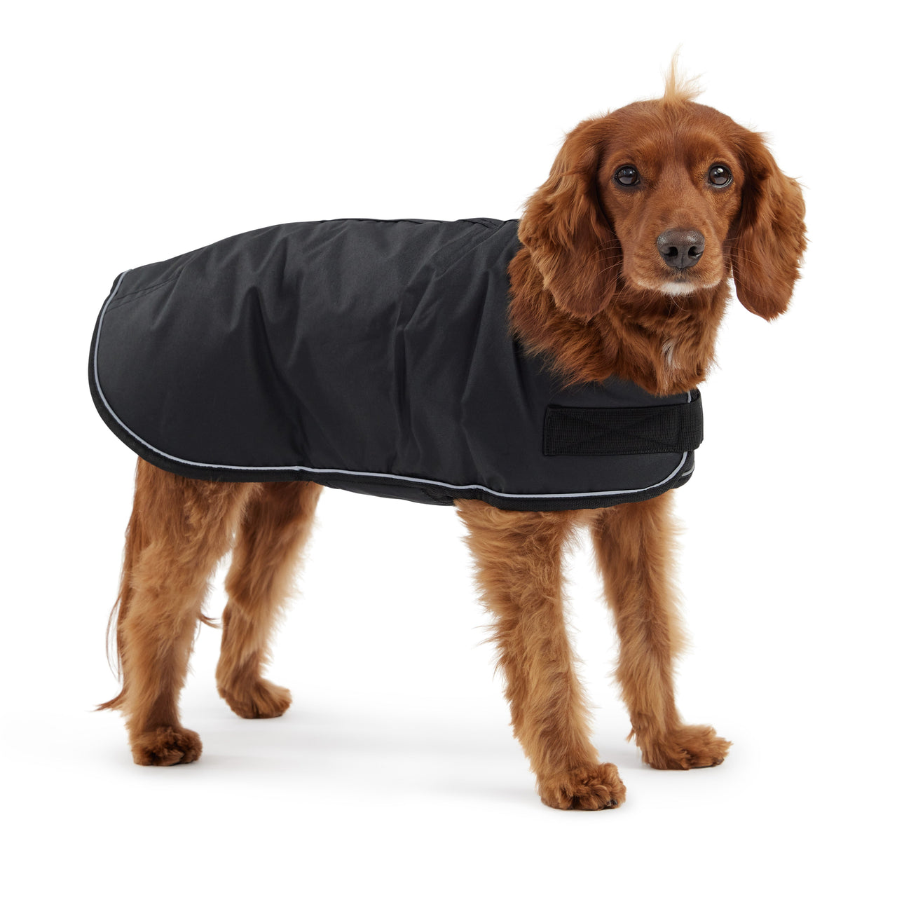 Dog Blanket Jacket - Black - 7 SIZES -