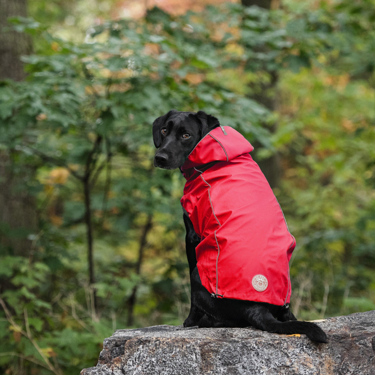 Reversible Elasto-Fit Raincoat - Red - 9 SIZES -