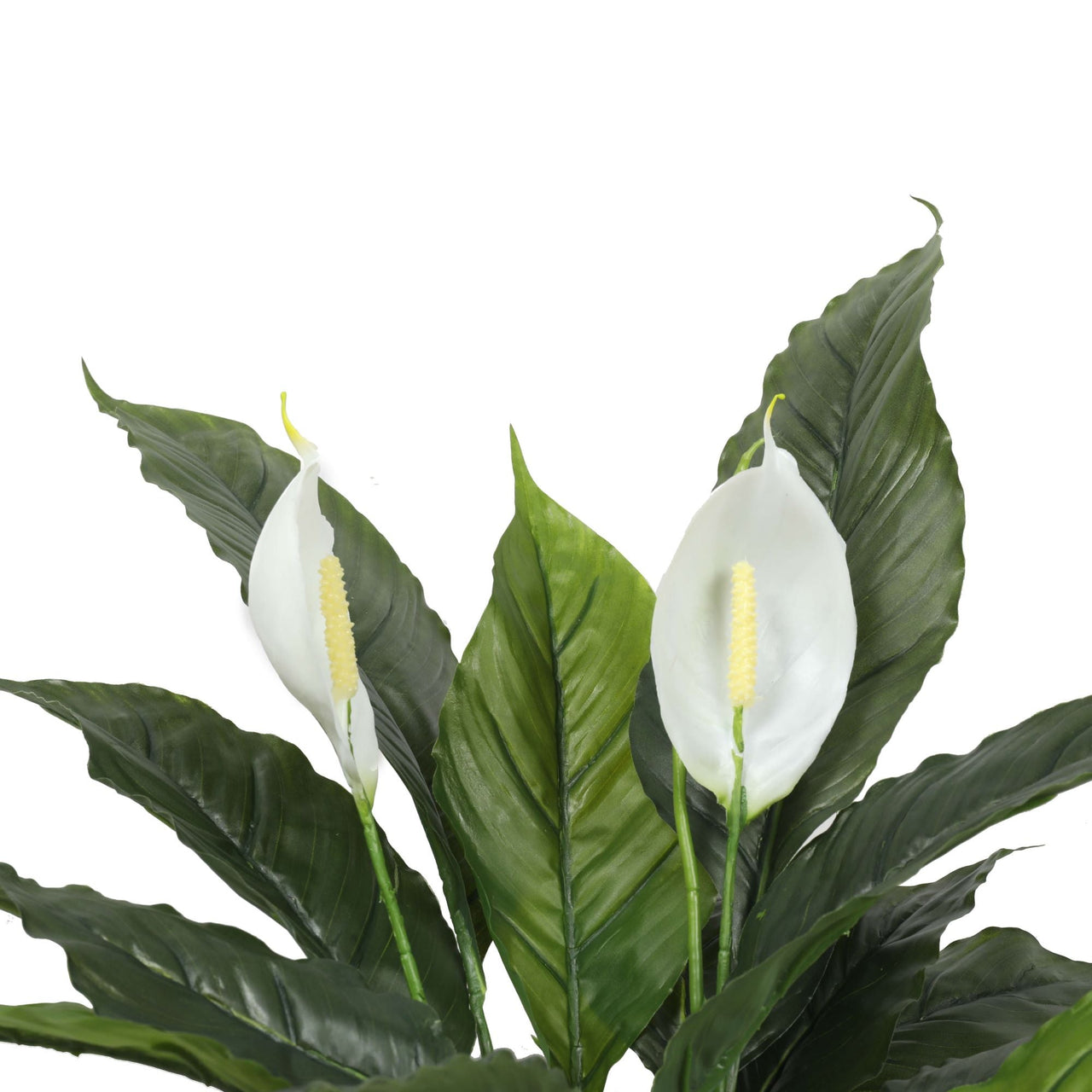 Artificial Spathiphyllum Peace Lily Plant With White Flowers 60cm -