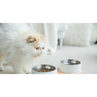 Thumbnail for Instachew -  Puresteel Double Pet Bowl, Food Bowl for Cats, Dogs -