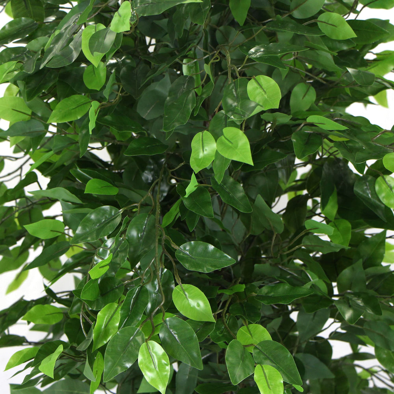 Artificial Ficus Tree 180cm Nearly Natural UV Resistant -