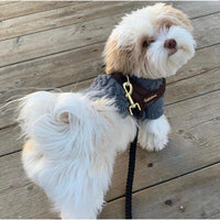 Thumbnail for Puccissime - Grizzly One-Click Dog  Harness - 4 SIZES -