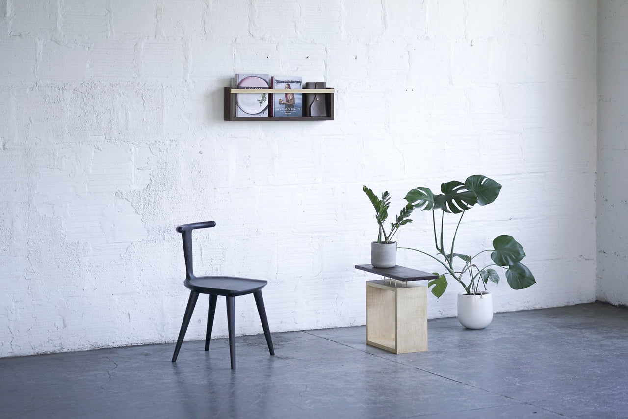 Iron Roots Design - Modern Magazine & Vinyl Wall Rack -