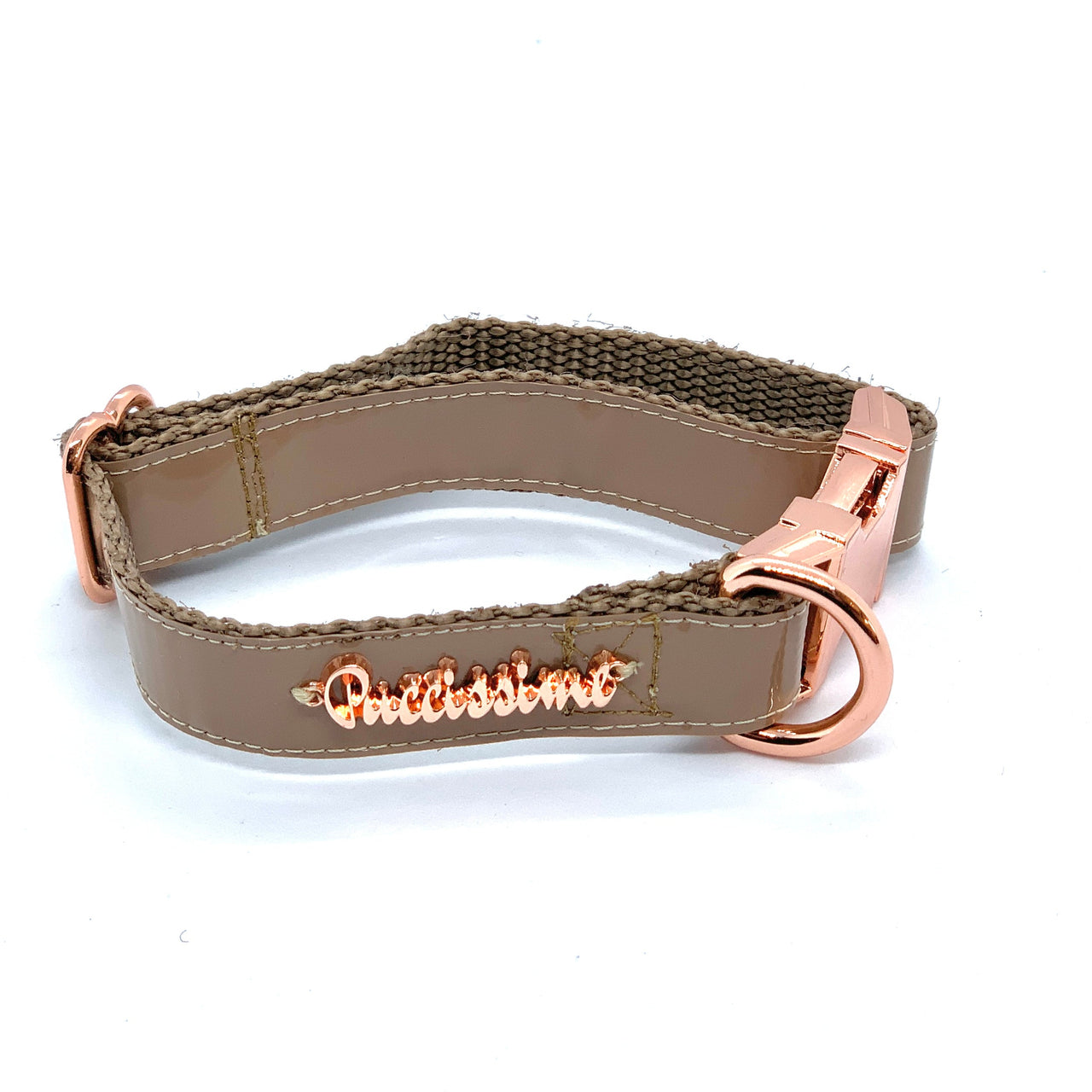 Puccissime - Champagne Dog Collar - 3 SIZES -