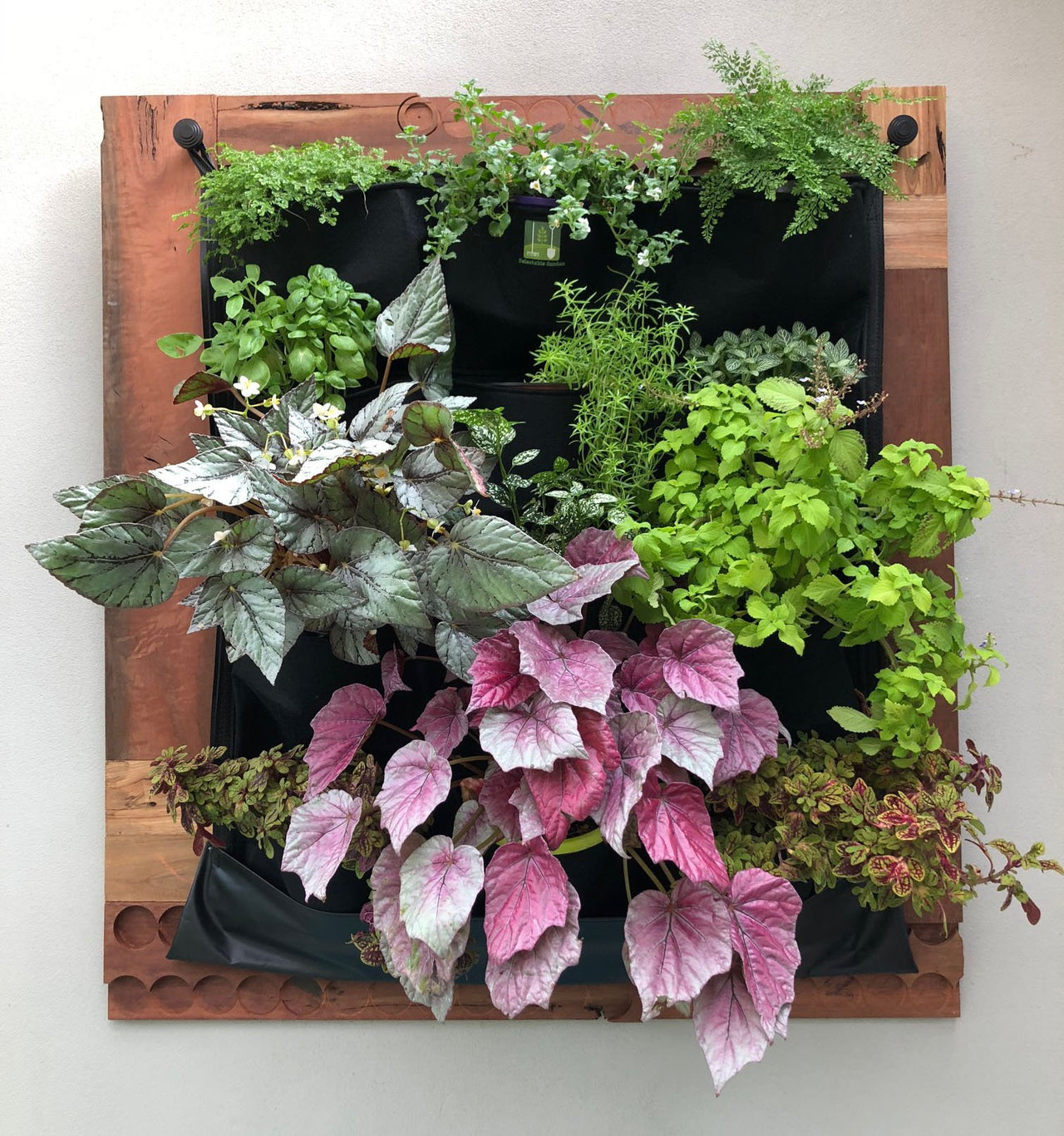 Delectable garden - 12 Pocket Indoor Waterproof Vertical Living Wall Planter - 1 COLOR -