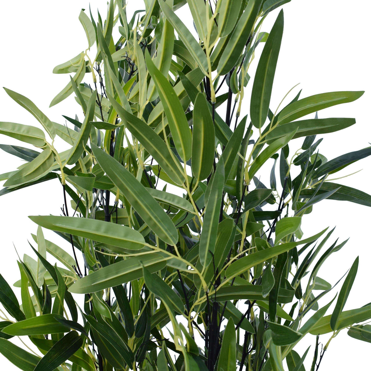 Artificial Bamboo Plant Black Bamboo 180cm Real Touch Leaves -