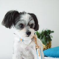 Thumbnail for Puccissime - My Baby Boy Collar - 4 SIZES -