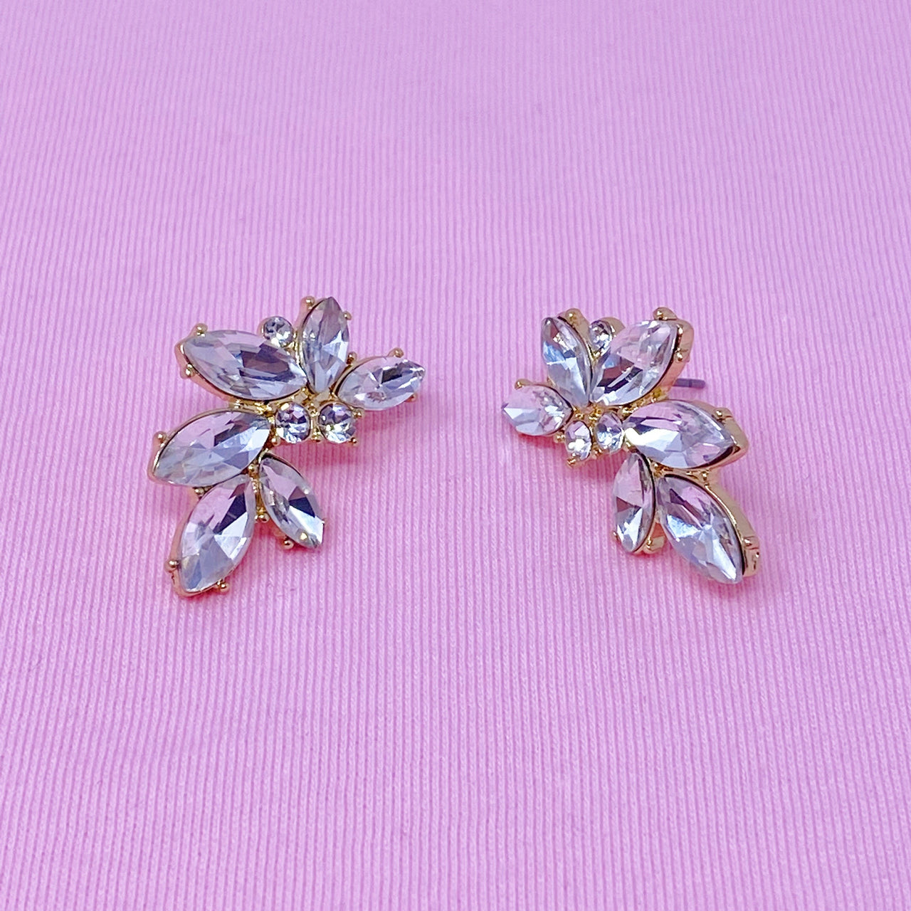 Stunning Stone Stud Earrings -