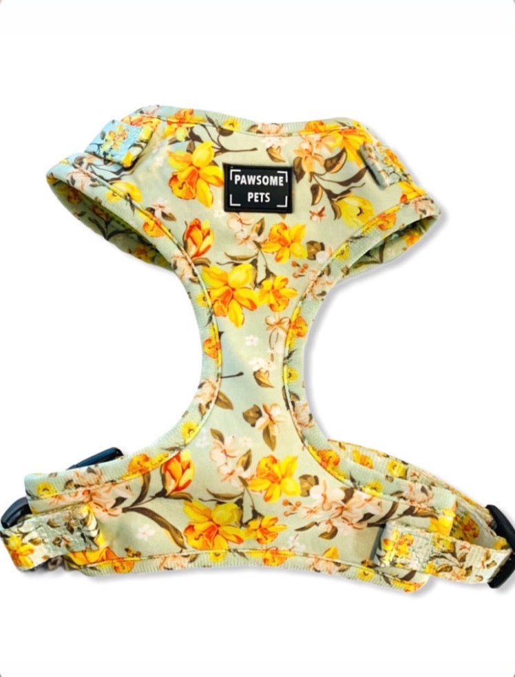 Adjustable Harness - Forsythia Flower -