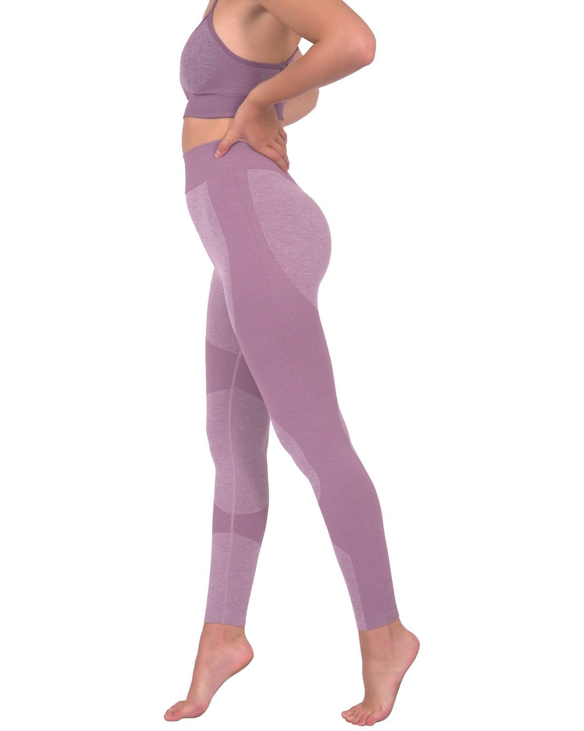 Savoy - Megara Seamless Legging With Striped Panels - Purple - 1 COLOR -