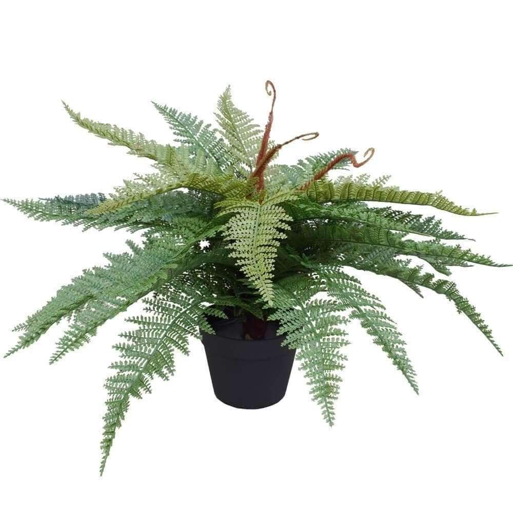 Artificial Potted Fishtail Fern 55cm -